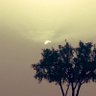 فواز العتيبي's profile picture