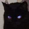 Profilbild von MystiKツ