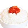 梅干しごはん's profile picture