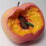 WhoAteThePeach's profile picture