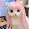 Naoko Yomada's profile picture