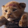 Profilbild von Kral Aslan