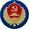 ICLB's profile picture
