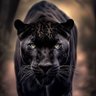 Prince Mokoena's profile picture