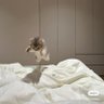 パ・ブロン 的头像