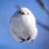Фото профиля ぶんちゃん
