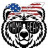 Фото профиля Mama Bear