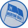 Hertha BSC Museum 1892's profile picture