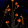 Hauntedspooky🕸️🕸️🕸️👻👻👻🎃🎃🎃's profile picture