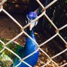 LLL_yc profil fotoğrafı