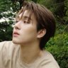 🌻Meta's profile picture