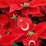 Фото профиля Kahraman💎 🇹🇷