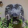 Conta alt de um random profil fotoğrafı