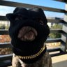 Profilbild von Truth Dawg