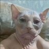Jay's profile picture