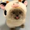 Dirkdiggler1187's profile picture