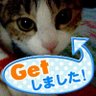 Фото профиля ひろたん
