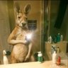 Gonzalo Etcheverry's profile picture