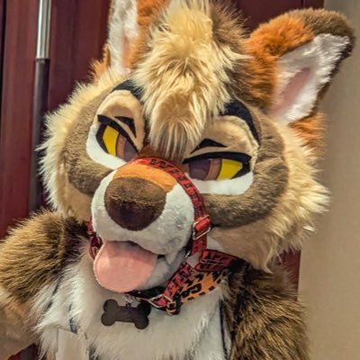 Cedar โจ๐ต๐ MEGAPLEX's profile picture