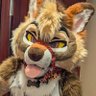 Cedar ✨🌵🔜 ANE's profile picture