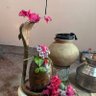 Фото профиля Muskan choudhary