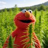Фото профиля Elmo4Life