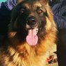 Bern3411's profile picture