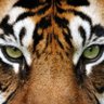 Dr.JMS's profile picture