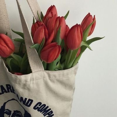 kimchilalaa's profile picture