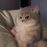 Meli Joon🐣 profil fotoğrafı