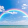 M I R A I 🍀🌈 的头像