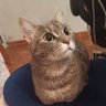 матерь драганы profil fotoğrafı
