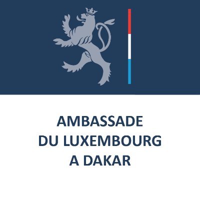 LUinDAKAR's profile picture
