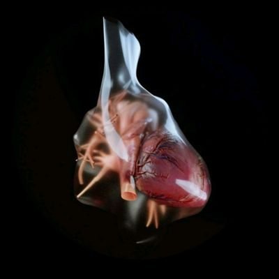 AbdAllah Othman's profile picture