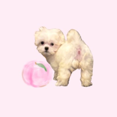 陽's profile picture
