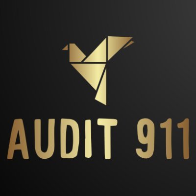 audit_911's profile picture