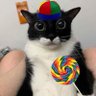 Profilbild von J