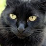 DeniseSpier's profile picture