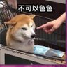 Profilbild von 下限觀察員