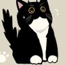 京極's profile picture