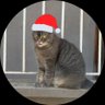 Noname292 profil fotoğrafı