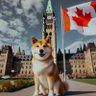 Canada's profile picture
