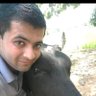 SHUBHAM.GORI. 🐄 गऊ माता सेवक.🐄 🇮🇳 🙏's profile picture