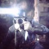 Mystoguy 🐒 profil fotoğrafı