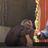 Monkey Buller 的头像