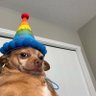 SYDNEY OLA โ๏ธ๐ณ๐ฌ๐ฆ's profile picture