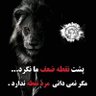 شایان خان (اکانت 2) profil fotoğrafı