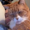 Buddy Long's profile picture