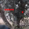 Фото профиля خليلي