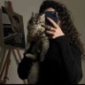ALB ≋'s profile picture